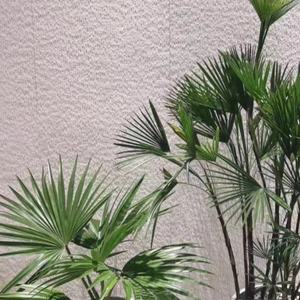 Carrelage <span class=keywords><strong>de</strong></span> <span class=keywords><strong>parement</strong></span> en pierre douce écologique Panneaux muraux flexibles avec revêtement mural en gros d'usine Pierre pour <span class=keywords><strong>chambre</strong></span> à coucher - Product Image 1