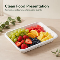 Barquettes jetables personnalisables en PLA biodégradable et bagasse pour viande, barquettes d'emballage pour viande, assiettes en papier pour aliments surgelés