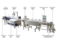 Machine de tri et de comptage automatique de sachets et de pochettes YH pour l'emballage alimentaire