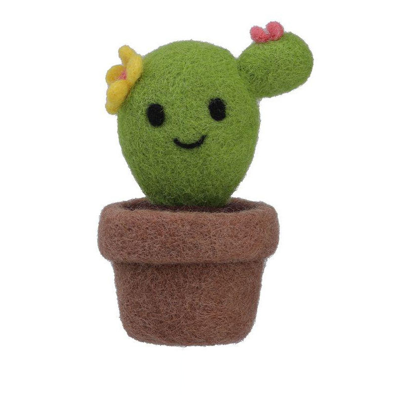 Plantes en pot succulentes-cactus