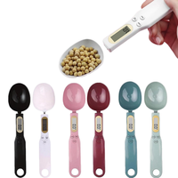 Balance de cuillère pour assaisonnement de cuisine Complément alimentaire Poudre de médecine Gramme Pet Cuillère Balance 500g/0.1g