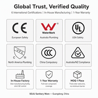 WC intelligent en céramique au design moderne, chasse d'eau à air comprimé, sans électricité, à siphon, monobloc, bidet, nettoyage des fesses, vente en gros