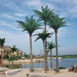 Tùy Chỉnh Nhiệt đới Faux Lớn Trong Nhà FRP Cây Giả Nhựa Kim Loại Cao Ngoài Trời Lớn Nhân Tạo Cây Cọ Dừa Cho Cảnh Quan Trang Trí Nội Thất - Product Image 2