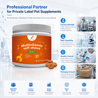 Multivitamines pour chiens à marque privée personnalisée - Formule professionnelle 10-en-1 pour les marques mondiales - Usine source avec des délais de livraison rapides
