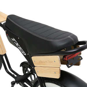 TXED Touring moto elettrica 48V 250W mozzo motore litio batteria elettrica moto stile bici - Product Image 5