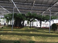 Faux arbre de banian en plastique vert artificiel d'hôtel de Hilton d'Arbol cinq étoiles fait sur commande grand arbre artificiel de 25 mètres pour le parc de forêt