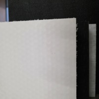 Panneau composite sandwich à forte résistance aux intempéries, panneau à âme en nid d'abeille en fibre de verre et polypropylène haute résistance pour planche de pêche