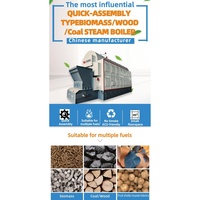 Ketel Uap Biomassa Xingyuan Horizontal Industrial Otomatis DZL 2.5 Ton/jam Berbahan Bakar Batubara/Serpihan Kayu/Serat Jerami