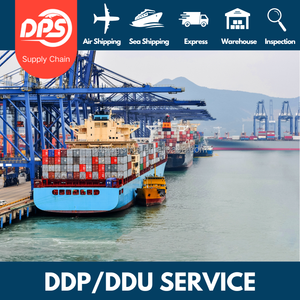 Schneller LCL+Express-Versand von China nach Kanada Günstiger Seelogistik-Agent für Seefracht-Logistik - Product Image 4