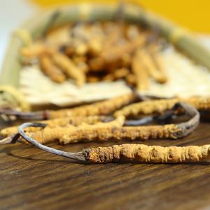 Высококачественный натуральный Тибетский кордицепс sinensis дикий сушеный тианши Кордицепс милитари органический мицелий кордицепс гриб - Product Image 3