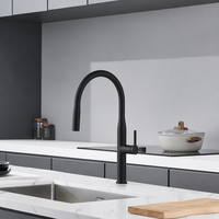 Robinet de cuisine moderne noir mat avec douchette extractible, mitigeur chaud/froid à poignée unique, anti-éclaboussures pour évier de cuisine et maison