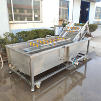 Bananenreiniger aus lebensmittelechtem Edelstahl, Blasenwaschmaschine für die Obstverarbeitungslinie mit Ozon