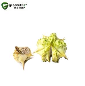 <span class=keywords><strong>Tribulus</strong></span> estratto di protodioscina COA e estratto di frutta <span class=keywords><strong>Alatus</strong></span> per formule a base di erbe benefici per la salute - Product Image 3