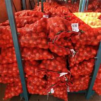 Verse Uien Groothandel Hete Verkoop Van China Leverancier Om Te Exporteren