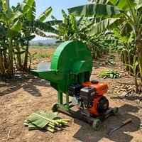 Broyeur et Hacheur de Tiges de Banane à Usage Domestique, à Essence et Diesel, Prix Usine, pour Tiges de Bananiers, Plantains, Pseudostèmes et Aliments Verts pour Bétail