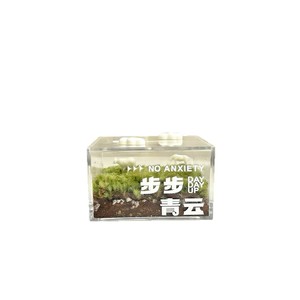 De la terre aux nuages : un paysage miniature en mousse, une pelouse, une plante verte miniature en éco-bouteille, décompression - Product Image 1