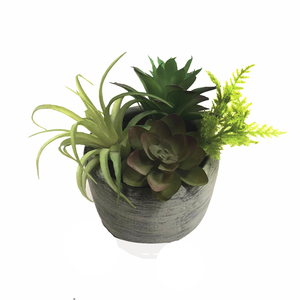 Planta Suculenta Artificial de <span class=keywords><strong>Echeveria</strong></span> Verde Realista y Grande, Hecha de Material PE, para Decoración de Jardín y Ocasiones como Pascua - Product Image 1