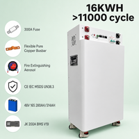 Batterie solaire Powerwall 10kW 20kW 48V 100Ah 200Ah 280Ah 5kWh 10kWh 15kW 51.2V pour système solaire domestique