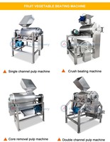 Fabrieksuitverkoop 304 RVS Aardbei Kiwi Saus Mango Pulper Machine 500-2000kg mango Klop- en pulpmachine