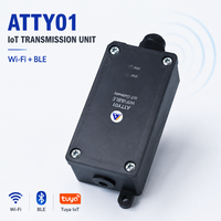 Transmisor de Nivel Inalámbrico Tuya Smart Wi-Fi/BLE 5.0, Salida Dual de 4-20 mA, Sensor de Presión Sumergible de Alta Precisión IP68 para Agua y Aceite