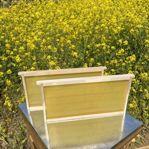 Los Fabricantes Venden una Gran Cantidad de Nuevos Cuadros de Panal y Bases de Cera de Abeja - Product Image 2