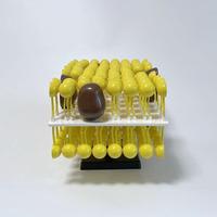 Modèle de structure de membrane cellulaire - Kit de modélisation de mosaïque fluide pour l'enseignement de la biologie et la démonstration scientifique