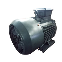 Moteur asynchrone triphasé coaxial vertical horizontal tout cuivre Xierfu YE3160M-4-11KW moteur à courant alternatif haute puissance