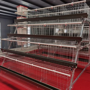 Jaulas de gallinas ponedoras multinivel de tres a cuatro niveles con comederos verdes/blancos para pollos - Suministro del fabricante - Product Image 6