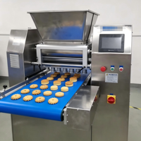 Machine à fabriquer des biscuits à deux couleurs, fonctionnant 24 heures sur 24, pour grandes boulangeries, équipement de façonnage de biscuits