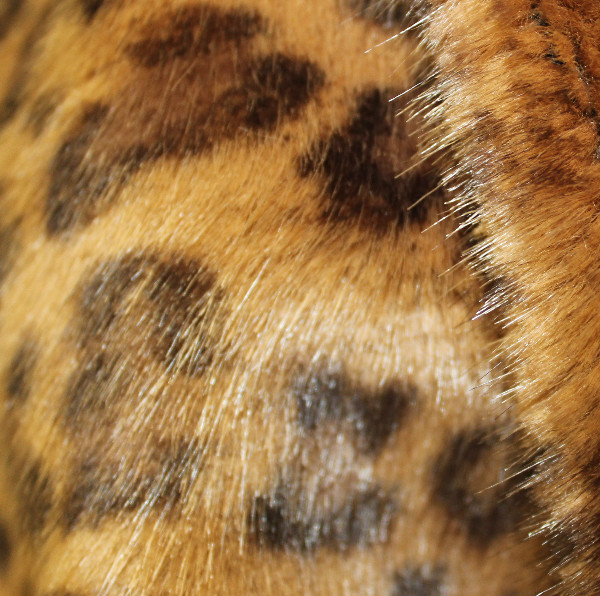 Поставка из Китая, оптовая продажа, Высококачественная популярная ткань из искусственного кроличьего меха с леопардовым принтом, имитация гепарда, ткань с животными
