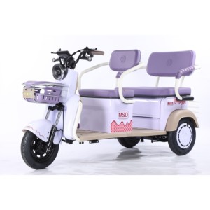 3 <b>Wheels</b> Lead-Acid Battery Brushless Motor 600W 48V/60V Carbon Steel Frame Tricycle - Product Image 1