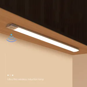 Hot Sale Mini Human Body Induction Smart USB Rechargeable Motion LED Sensor Light For Cabinet Wardrobe Bedroom