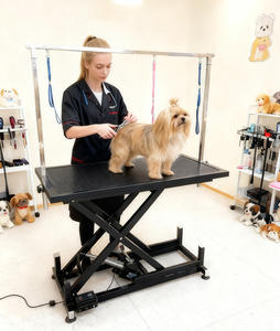 <span class=keywords><strong>Table</strong></span> de toilettage électrique pour chien avec bras de toilettage en acier inoxydable et <span class=keywords><strong>table</strong></span> de toilettage facile à nettoyer - Product Image 3