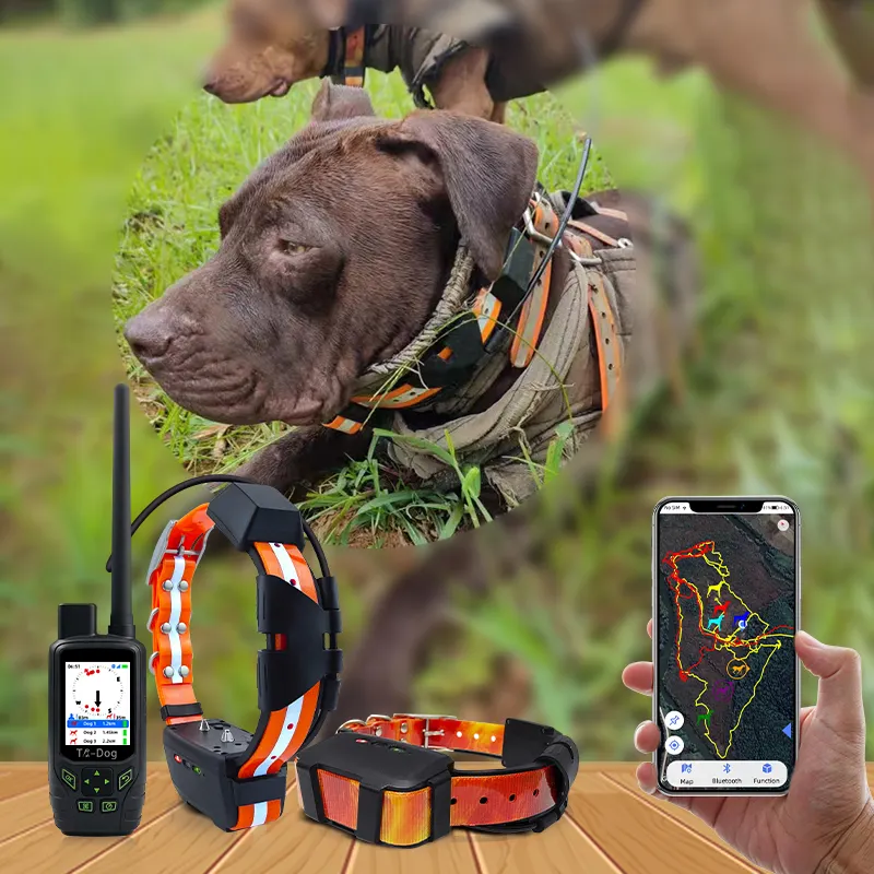 Collier de dressage et de suivi GPS pour chiens, Wi-Fi hybride VHF 4G SIM, étanche IPX7, appareil intelligent