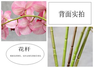 2024 gran oferta Flor <span class=keywords><strong>de</strong></span> orquídeas <span class=keywords><strong>de</strong></span> imitación para centros <span class=keywords><strong>de</strong></span> mesa <span class=keywords><strong>de</strong></span> boda <span class=keywords><strong>seda</strong></span> Artificial tacto Real mariposa orquídea <span class=keywords><strong>polilla</strong></span> - Product Image 5