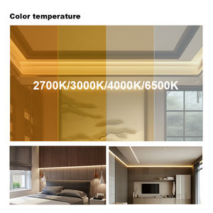 Luz LED de Neón para Exteriores, Flexible, de Silicona, Impermeable IP68, con Encapsulación Completa de PU, Curvada Lateralmente, Personalizable, de Alta Calidad - Product Image 5