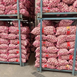 Ajo Blanco Fresco de China, de Dientes Pequeños, Precio al por Mayor, Venta Directa de Fábrica de Shandong, Calidad Superior, Cosecha Reciente, Alho Ajo - Product Image 5