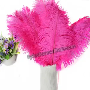 Dyed Horng Shya g Directly HP-17 Various Colours 18-20inch Dyed Ostrich Feather ostrich Feathers for craft