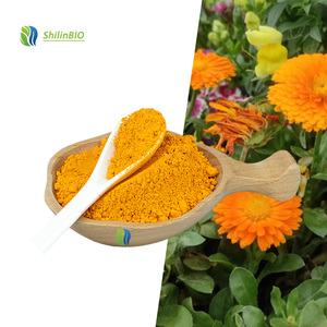 SLBIO Suministra Extracto <span class=keywords><strong>de</strong></span> Flor <span class=keywords><strong>de</strong></span> Caléndula <span class=keywords><strong>de</strong></span> Alta Calidad, Polvo <span class=keywords><strong>de</strong></span> Luteína al 5% y 20% - Product Image 1