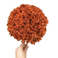 Groothandelsprijs Hoge Kwaliteit Gedroogde Hortensia Bloemblaadjes 15-17cm voor Huis Bruiloft Moederdag Decoratie - Meerdere Kleuren