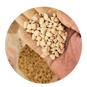 Natuurlijke Poreuze Kanuma Bodem Voor Sappige Cactus Aanplant Verbeteren Bodemdrainage Aerate Wortelzone Hoge Kwaliteit - Product Image 3