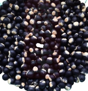 Wuhuanzi Hạt Xà Phòng Khô Nguyên Chất Màu Đen Tự Nhiên Mới - Product Image 2