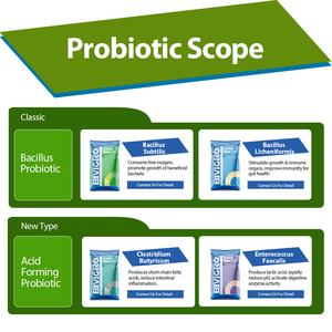 Thức ăn lớp clostridium butyricum <span class=keywords><strong>Probiotic</strong></span> cho gia cầm Gà Thịt lớp lợn bò sữa Cá Tôm vật nuôi thức ăn chăn nuôi - Product Image 6