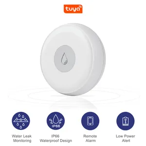 DUSUN Smart Home Security IP66 Waterproof Water Leakage Sensor For Smart Apartment