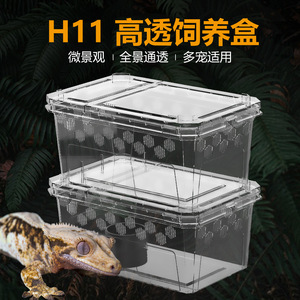 H11 250*162*110mm Pet rettile alimentatore Spider Keeper lucertola scatola di plastica per tartarughe - Product Image 3