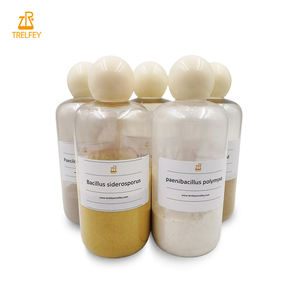 ผงสารชีวภาพสำหรับการเกษตร ควบคุมโรคในดิน เช่น ไส้เดือนราก สำหรับการบำบัดเมล็ดพันธุ์และการปรับปรุงดิน - Product Image 3