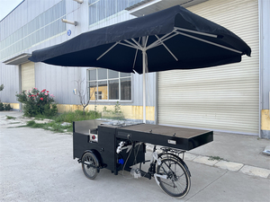 Tricycle à café mobile, kiosque à gâteaux, triporteur à bière, vélo de restauration rapide avec table de présentation - Product Image 2