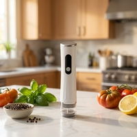 Scelleuse sous vide manuelle portable en plastique à piles pour sacs réutilisables, conservation domestique, grande capacité, indicateur LED, faible consommation