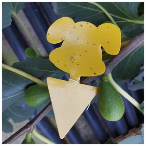 Hot bán Vàng côn trùng dính bẫy thực vật kiểm soát dịch hại sản phẩm cho trái cây bay và Gnat - Product Image 5