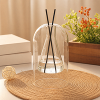 Bouteille diffuseur à roseaux ODIS 250 ml en verre borosilicate double couche, sans alcool, de luxe, givrée, rechargeable, pour huiles essentielles